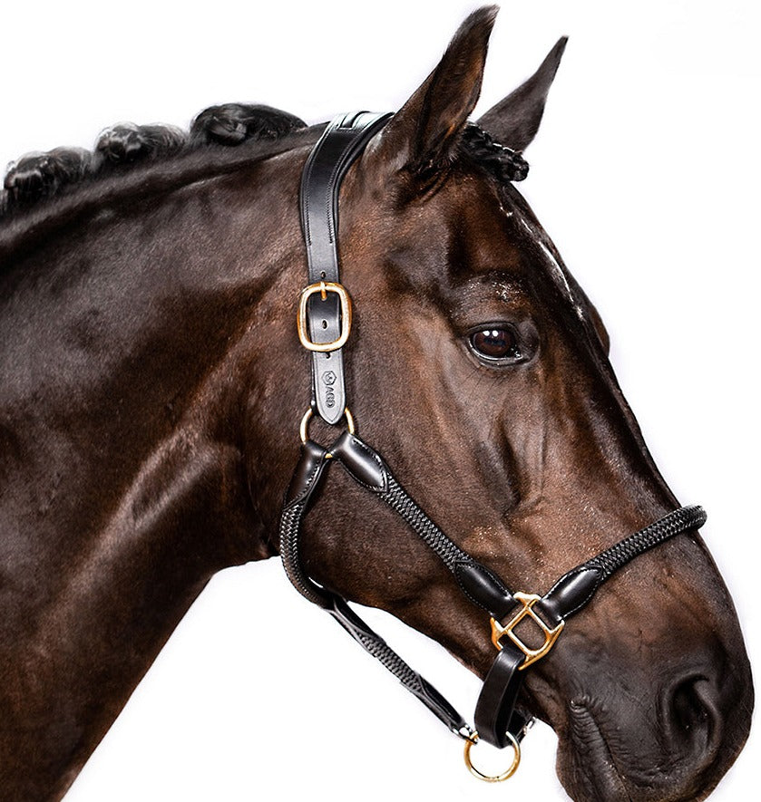 Hybrid Halter