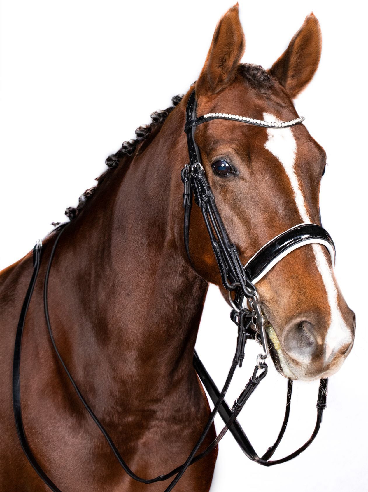 ROLLED DOUBLE BRIDLE REIN SET