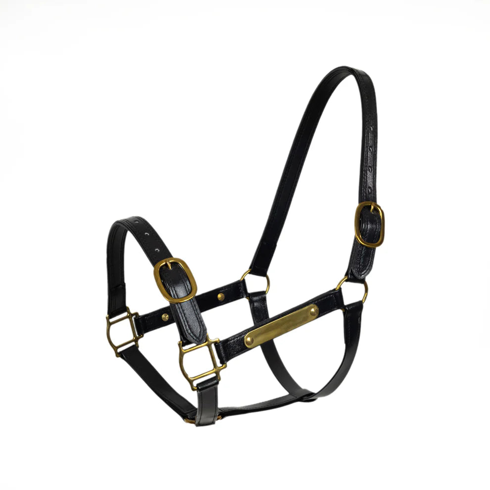 Pvc Halters Syd Hill PVC Halter with Nameplate – M Equestrian