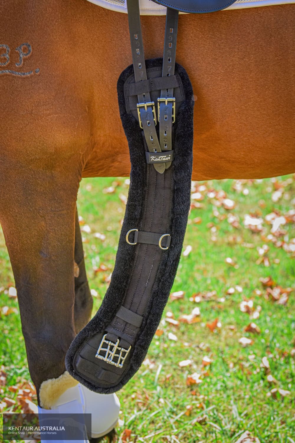 Kentaur Malmo Dressage Girth