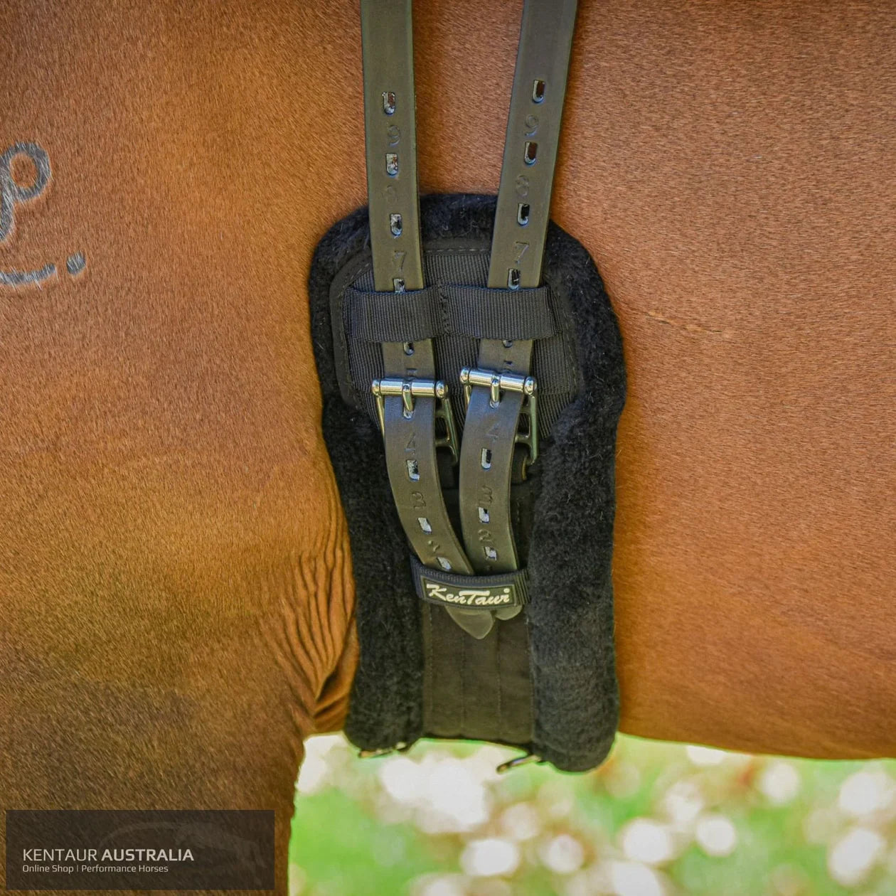 Kentaur Malmo Dressage Girth